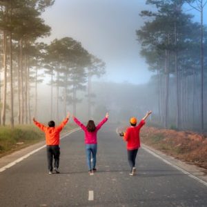 pexels photo 2176593 2176593 Three people walk arm-in-arm on a foggy forest road, creating a serene and joyful mood.